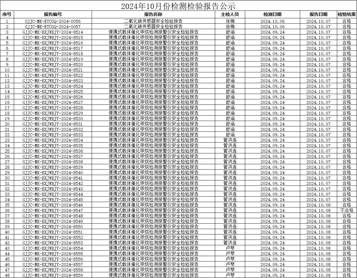 2024年10月安全檢測(cè)檢...